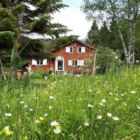 Chalet Chic Wildhaus Zewnętrze zdjęcie