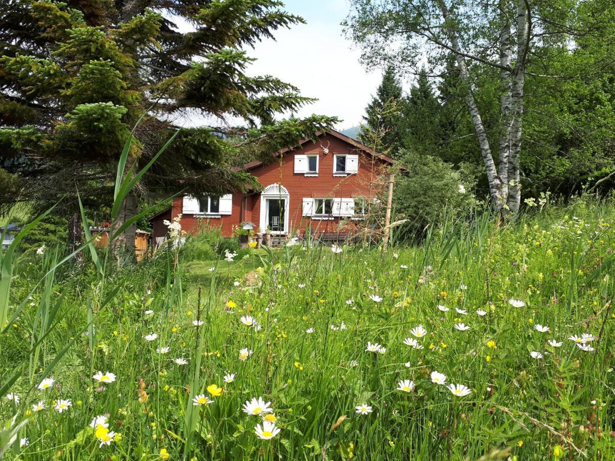 Chalet Chic Wildhaus Zewnętrze zdjęcie