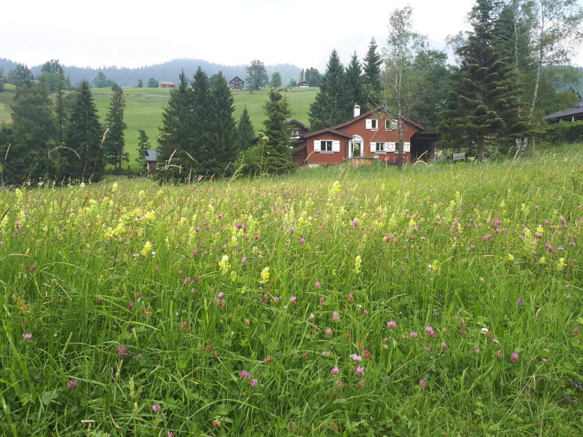 Chalet Chic Wildhaus Zewnętrze zdjęcie